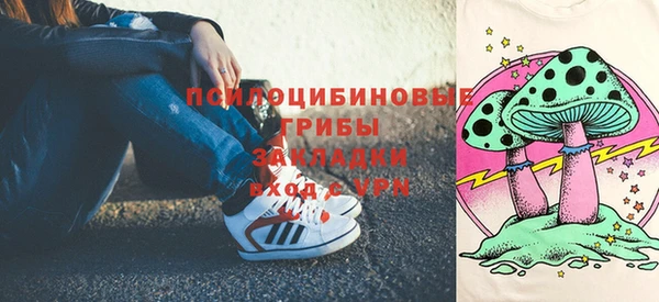 кокс Няндома