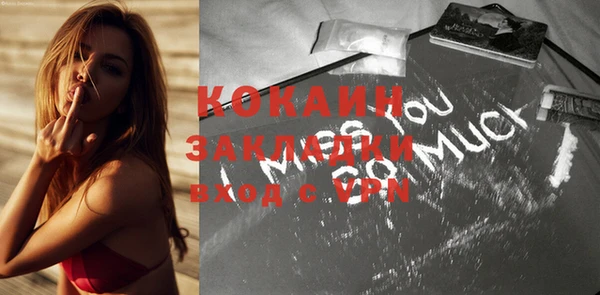 кокс Няндома