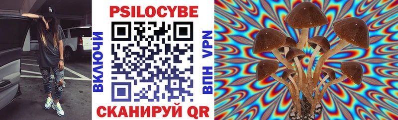 Галлюциногенные грибы мицелий Купить где Обь